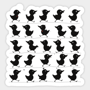 Cute funny birds walking in line Sticker